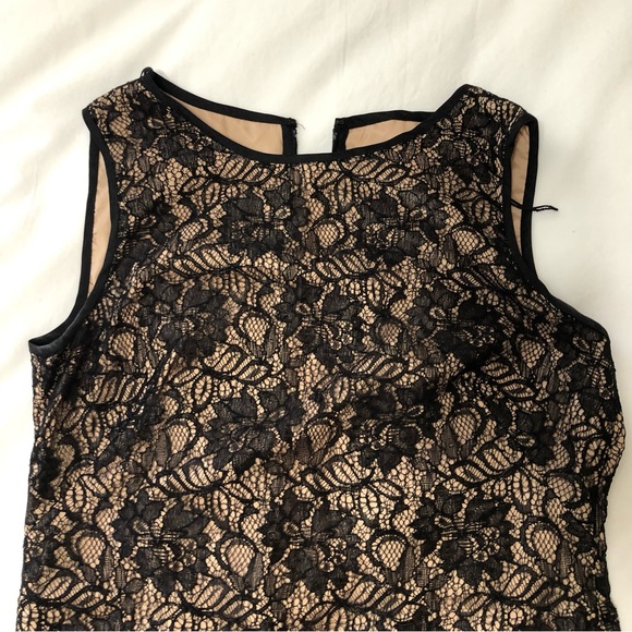 Cache Nude and Black Lace Dress - Picture 3 of 7